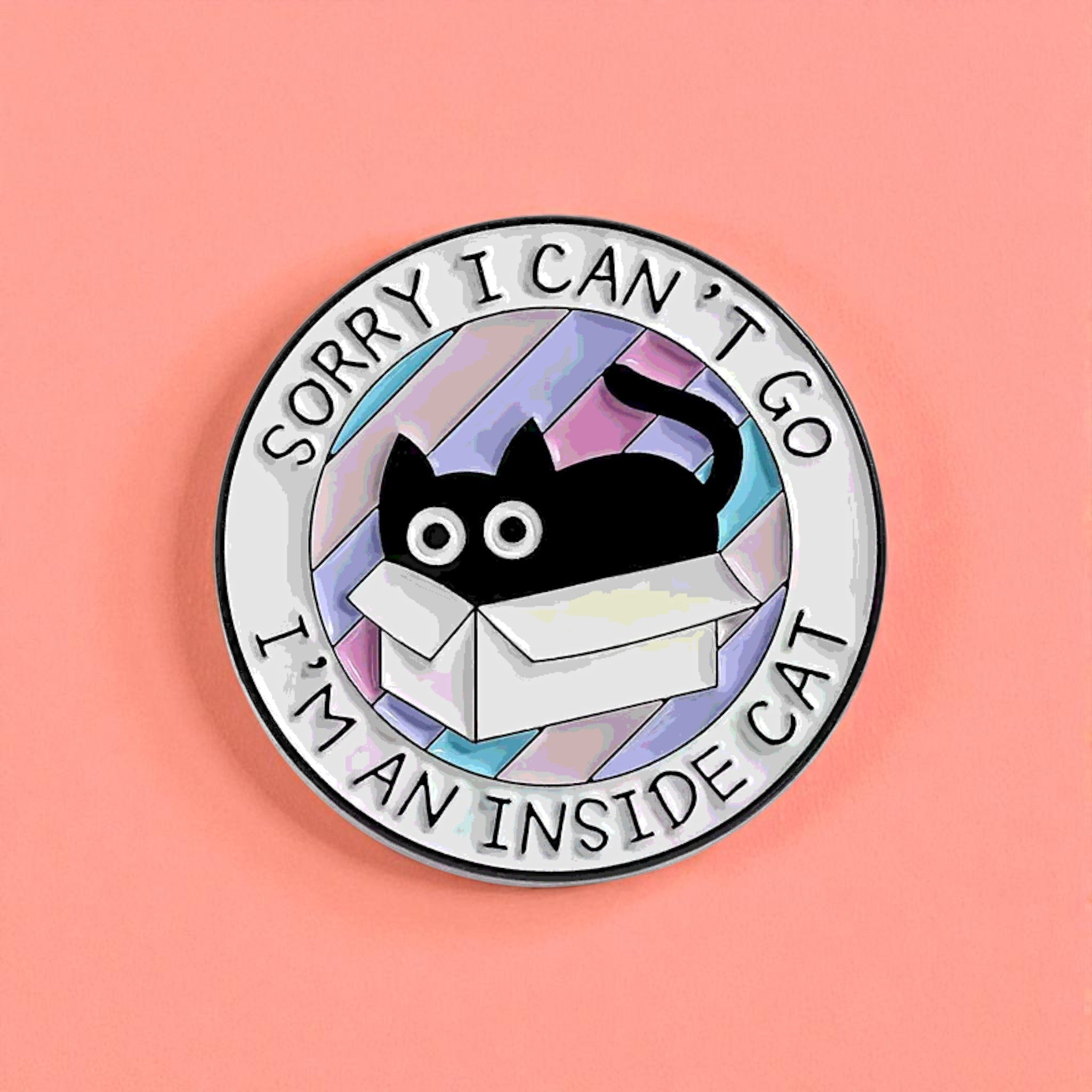Inside Cat