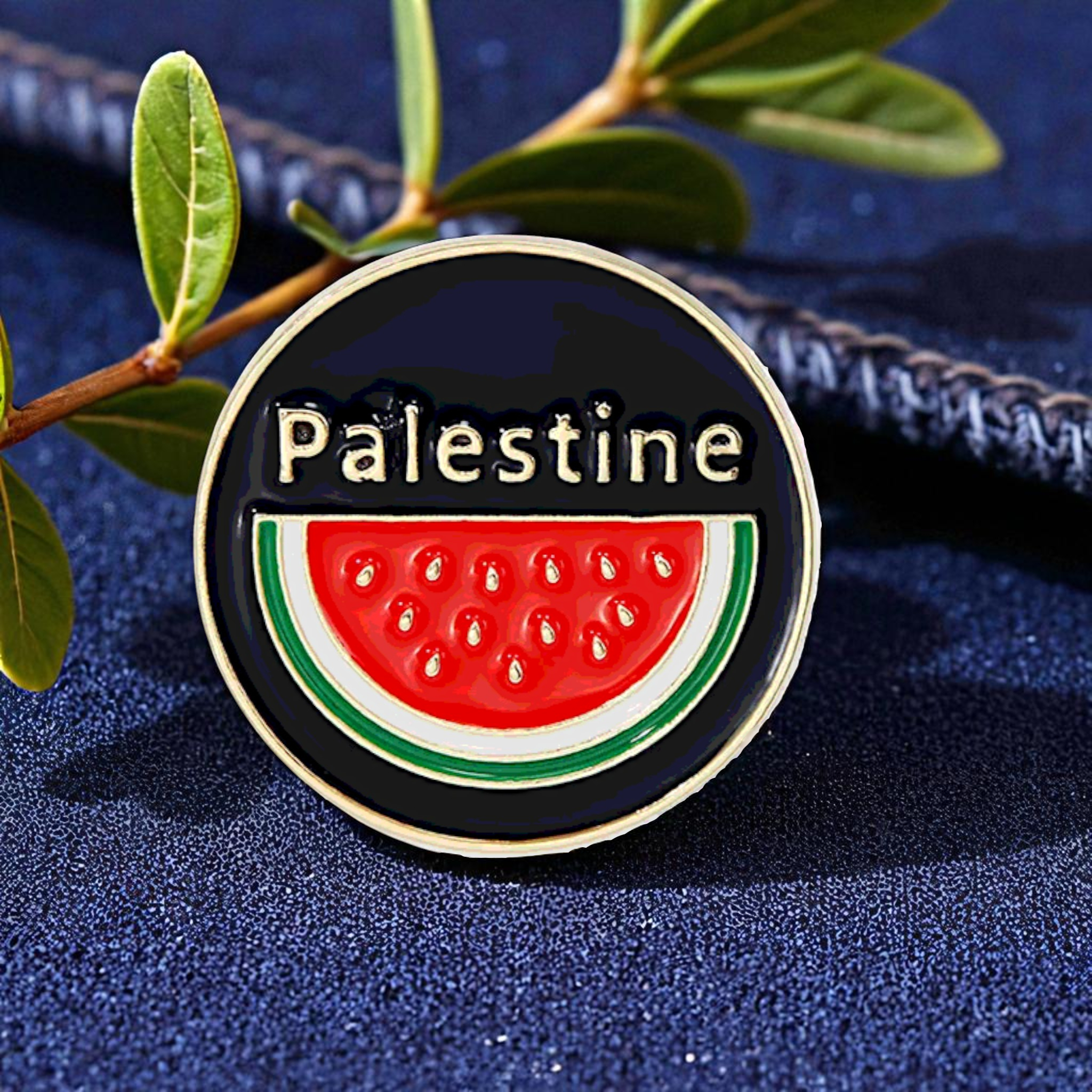 Palestine Watermelon Circle Pin